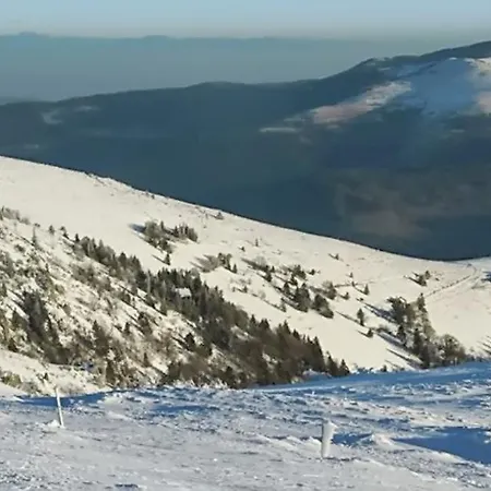 Σαλέ Chalet Bis Rue Du Hohneck La Bresse