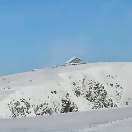Σαλέ Chalet Bis Rue Du Hohneck